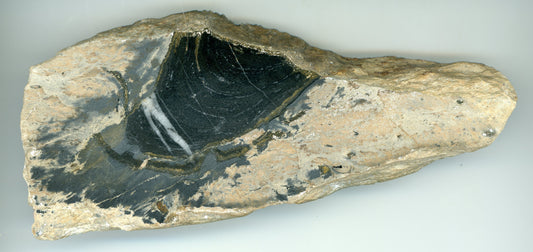 Stromatopora kupovitá ve stínavsko-chabičovské břidlici