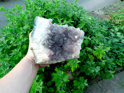 Amethyst drusen LARGE