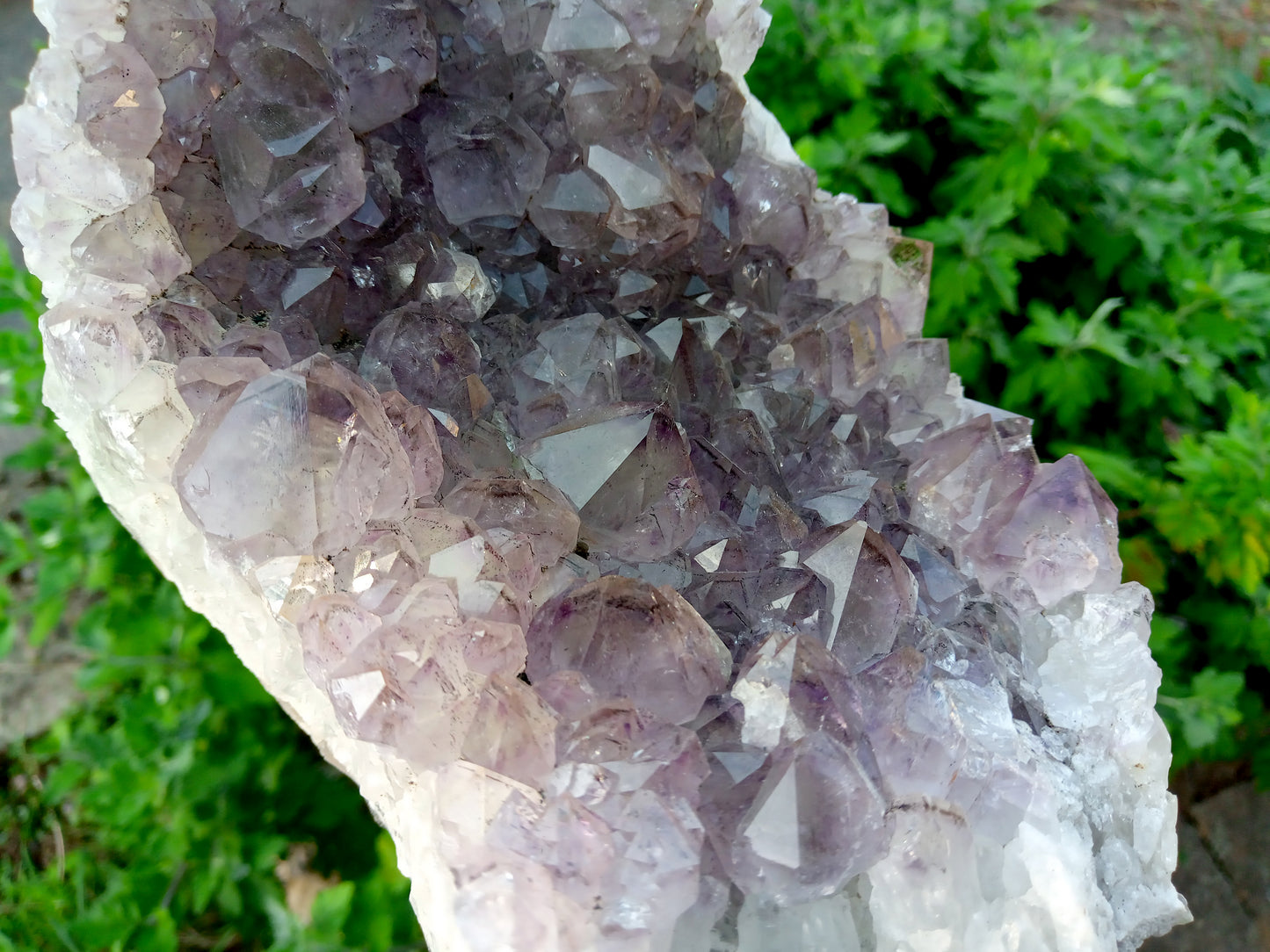 Amethyst drusen LARGE