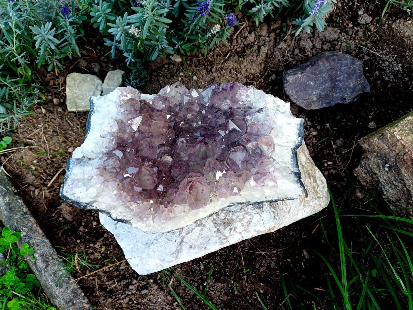 Amethyst drusen LARGE