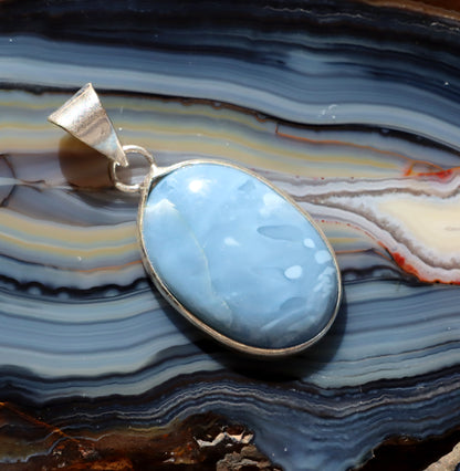 Owyhee opal pendant