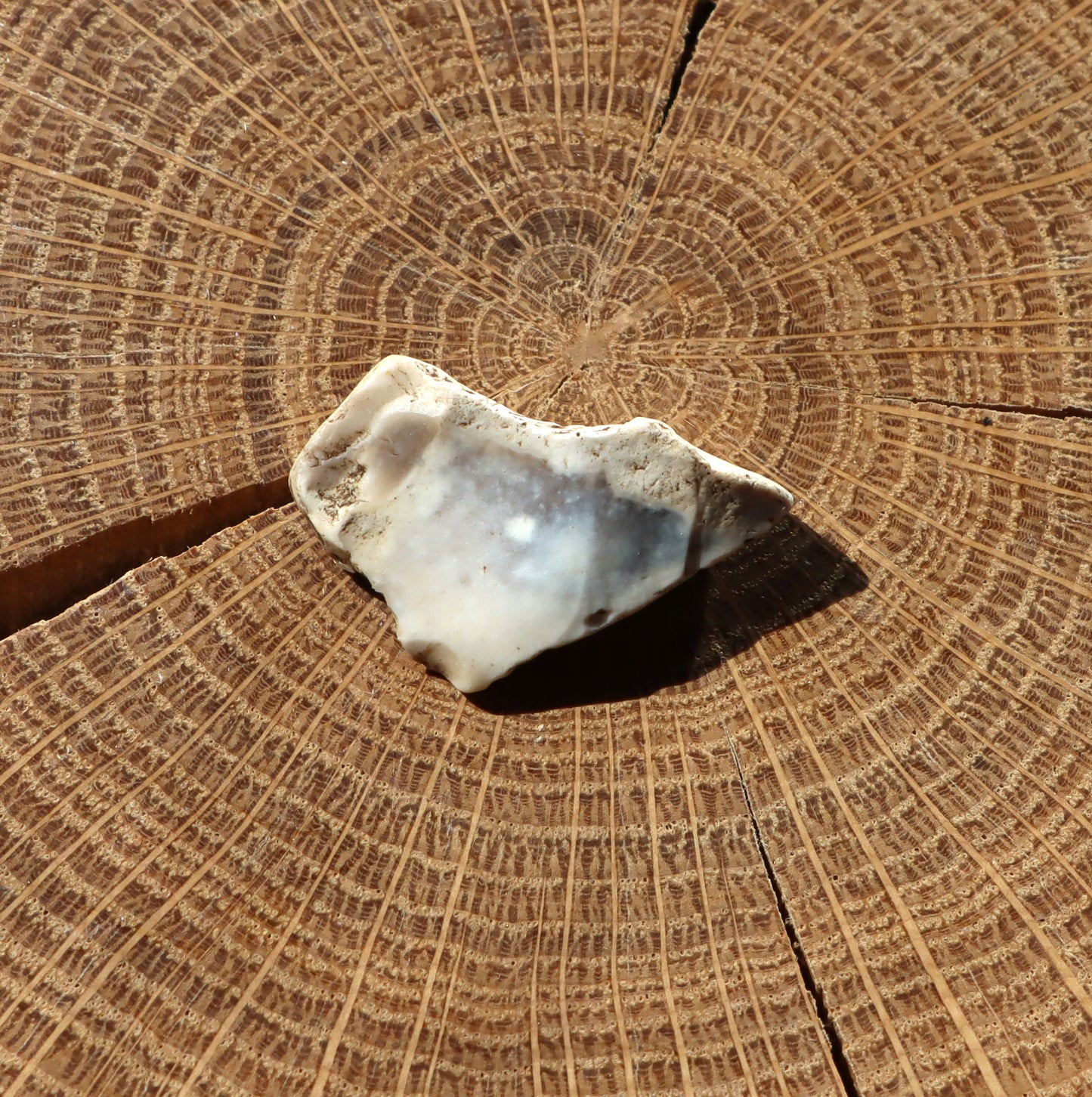 "Winchester" flint