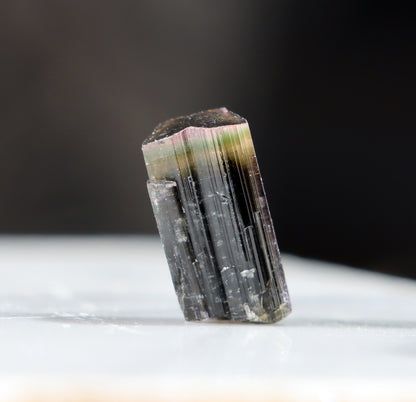 Elbait "Watermelon" Tourmaline