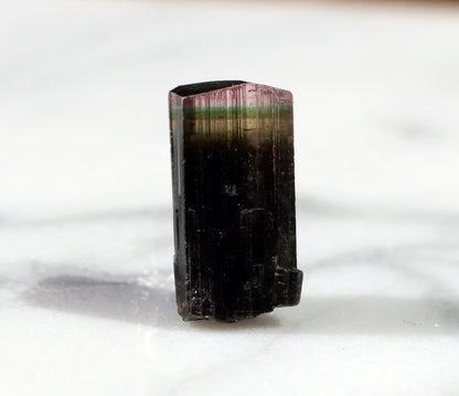 Elbait "Watermelon" Tourmaline