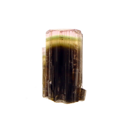 Elbait "Watermelon" Tourmaline