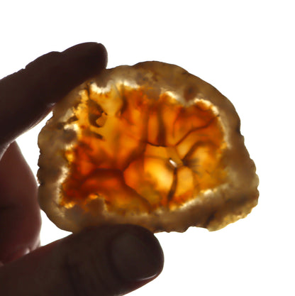 Carnelian geode slice