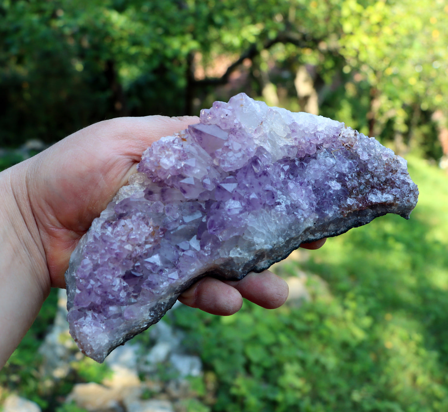 Amethyst drusen