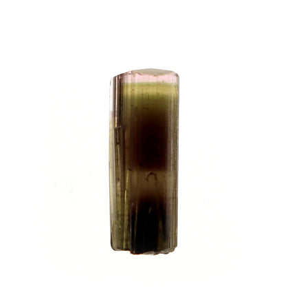 Elbait "Watermelon" Tourmaline