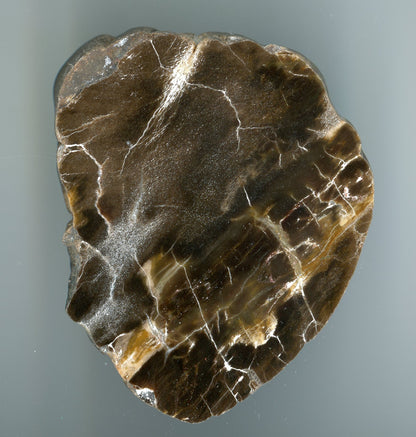 Araucarite