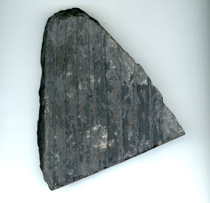 Imprint of the bark of the float stone core