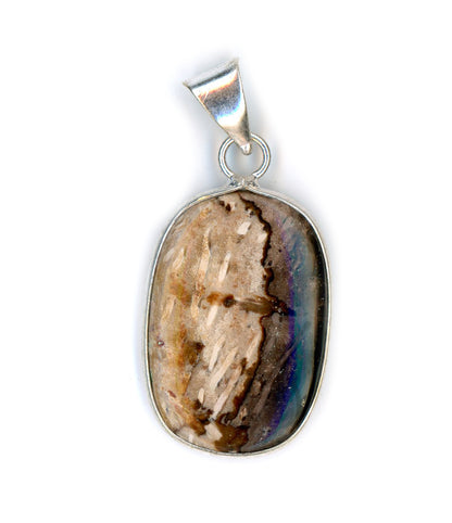 Petrified palm tree pendant