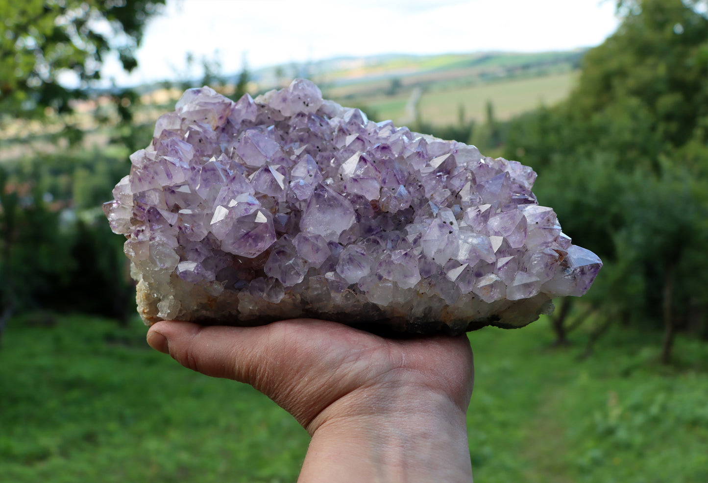 Amethyst drusen