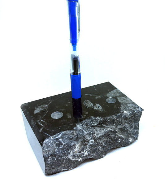 Limestone pencil stand with coral (Thamnopora)