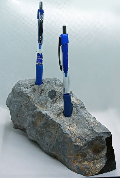 Limestone pencil stand with corals, 3 pencils