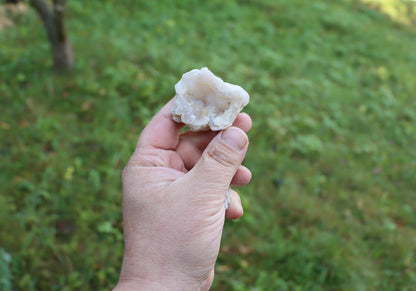 Chalcedony transparent in geode