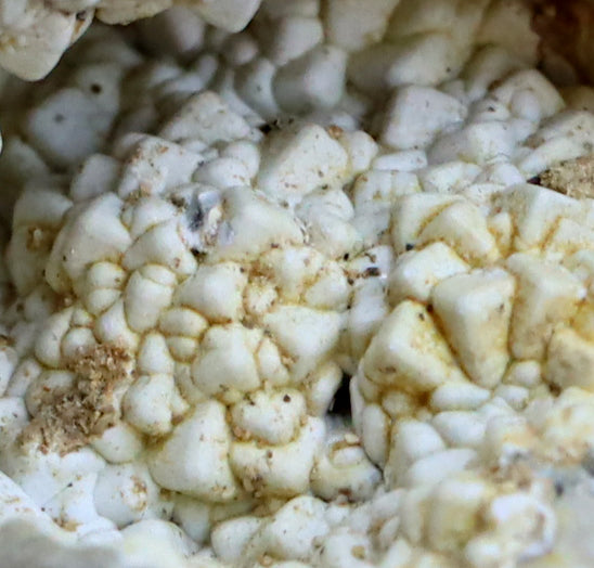 Geode with white chalcedony