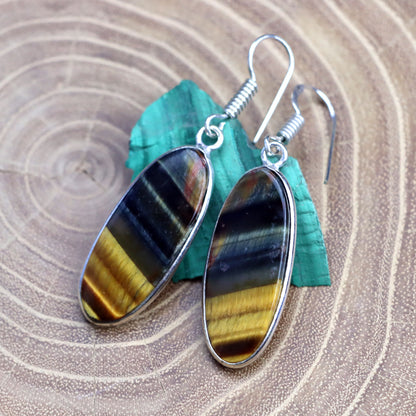 Tiger bull's eye earrings