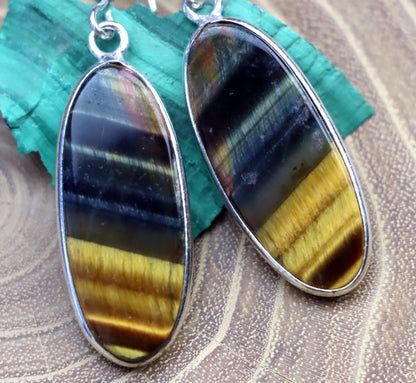 Tiger bull's eye earrings