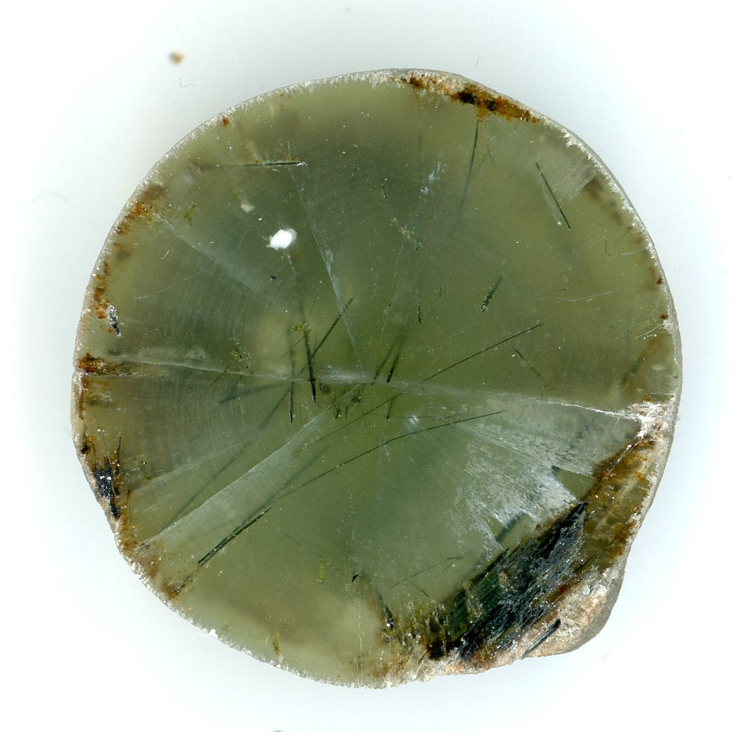 Rot with epidote