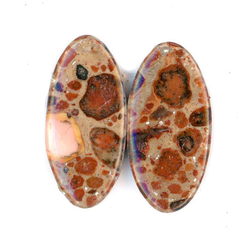 A pair of asteroid jasper cabochons