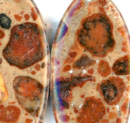 A pair of asteroid jasper cabochons