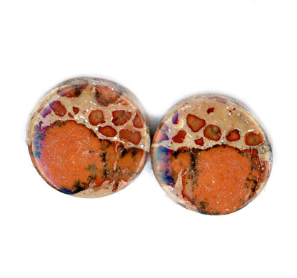 A pair of asteroid jasper cabochons