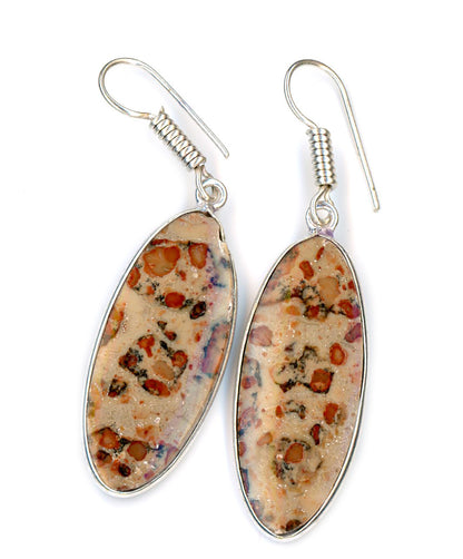 Asteroid jasper earrings