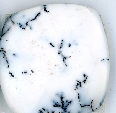 A pair of dendritic opal cabochons