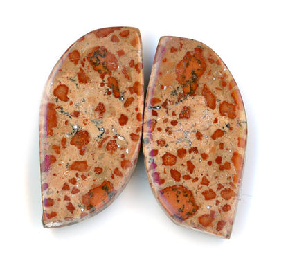 A pair of asteroid jasper cabochons