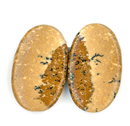 Cabochons pair picture jasper