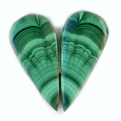 Malachite pair cabochons