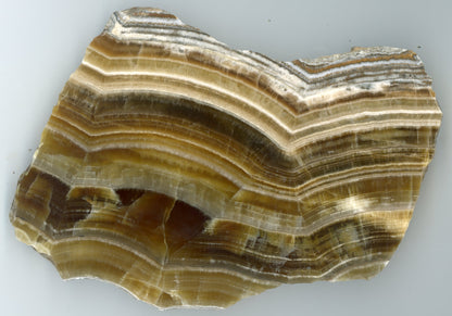 Aragonite layered translucent