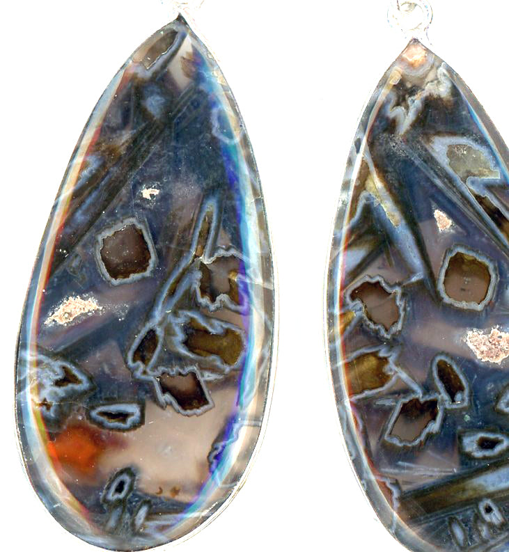 Opalized twig earrings