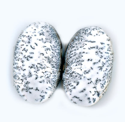 A pair of dendritic opal cabochons