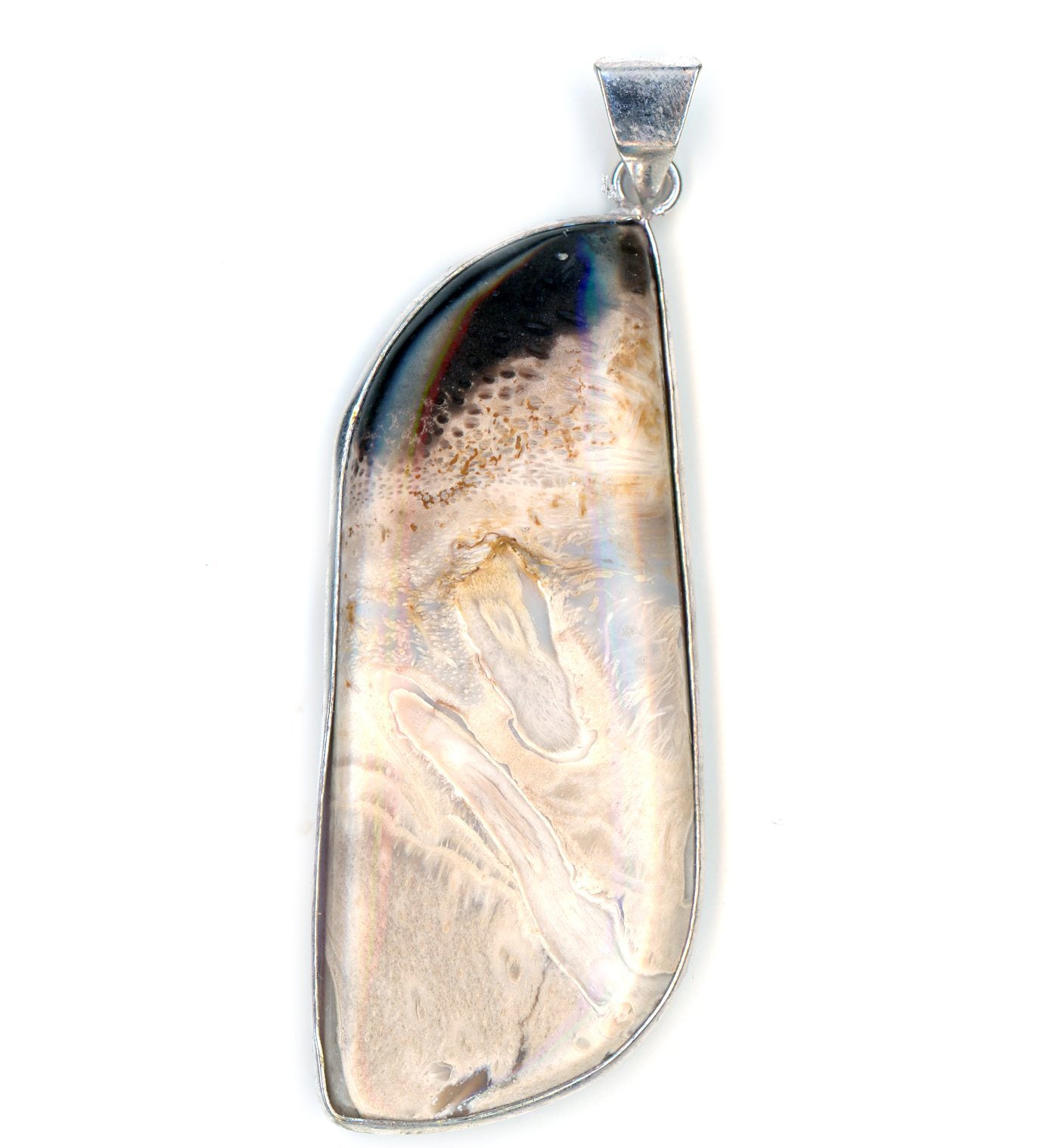 Petrified palm tree pendant