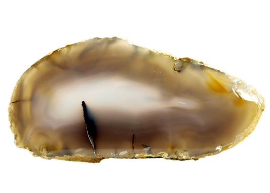 Lace agate with dendrite