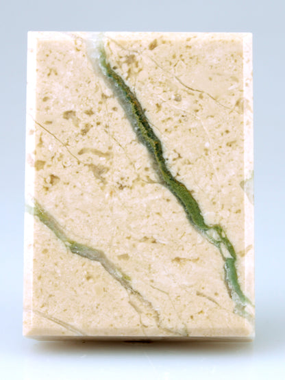Jurassic limestone tabular with fossils, Mikulov