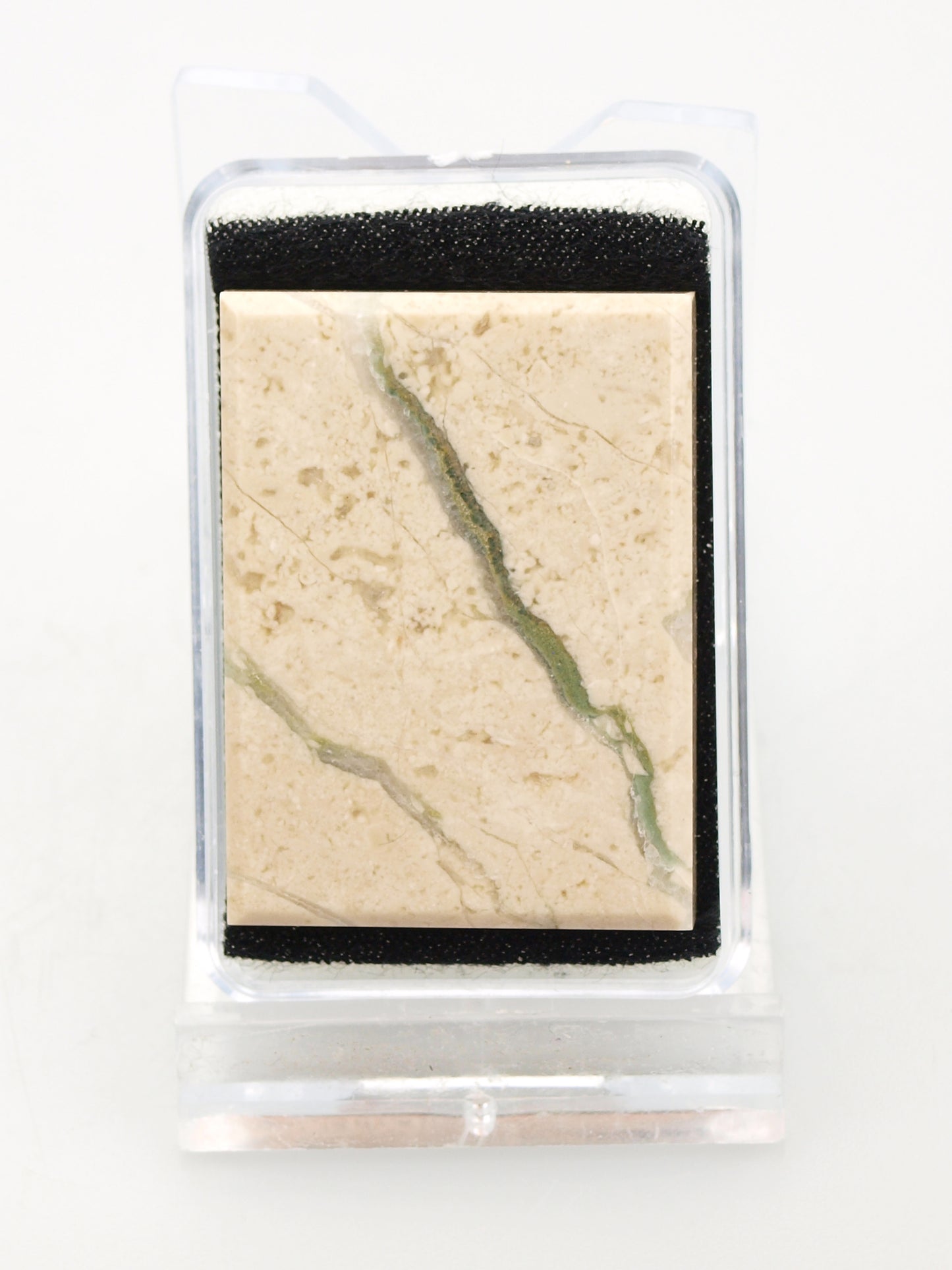 Jurassic limestone tabular with fossils, Mikulov