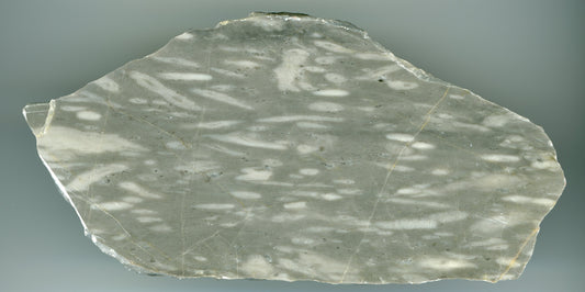 Vilémovický vápenec s rekrystalizovanými fosiliemi