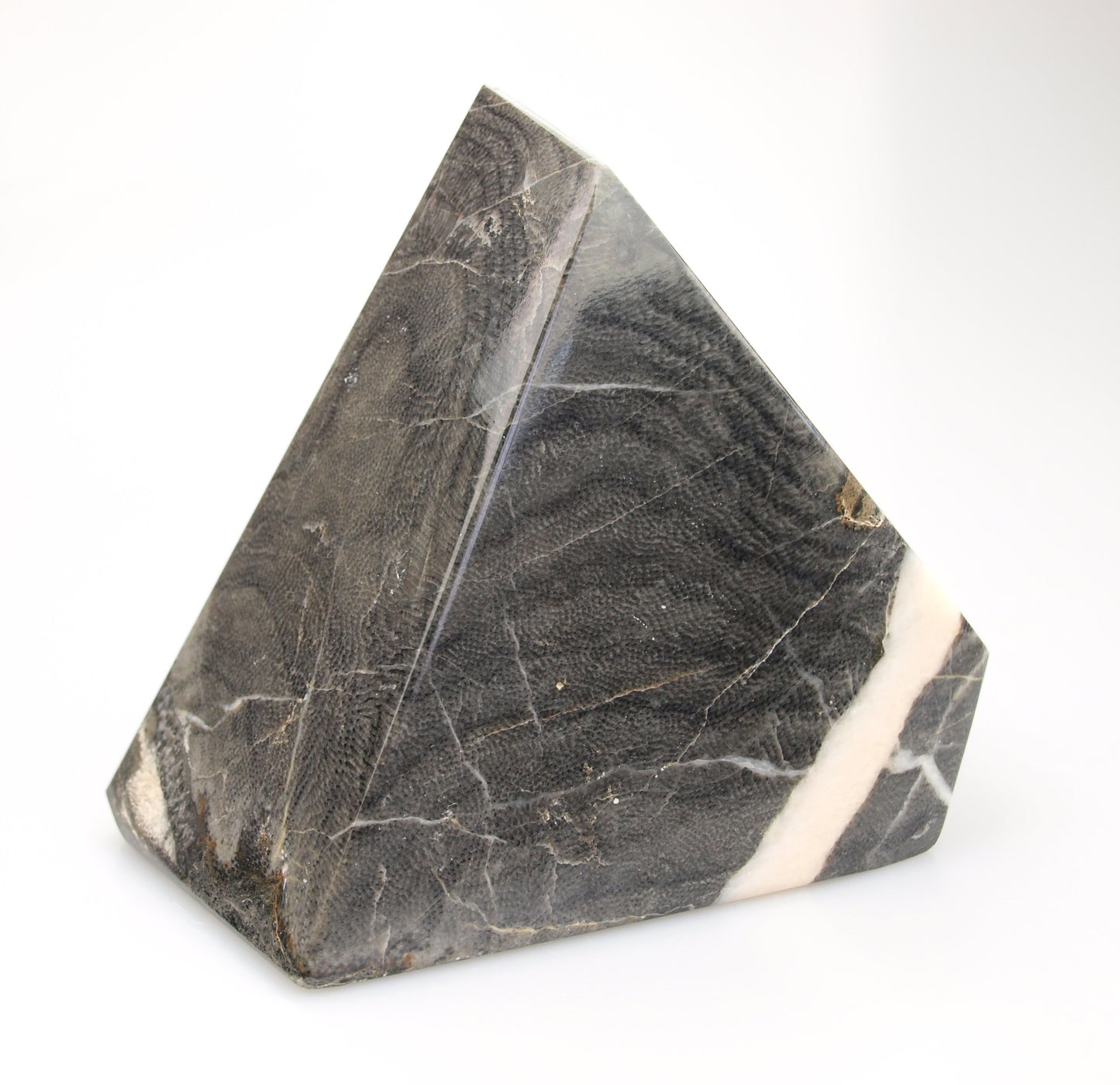 A massive paperweight made of flaky coral intersected by a vein of calcite