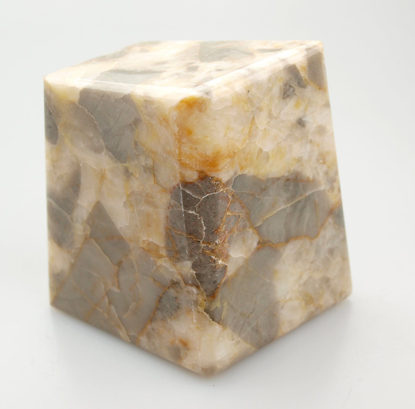 Paperweight of yellow calcite breccia with limestone and coral