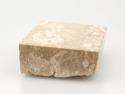 Platestone from Tertiary limestone with algae