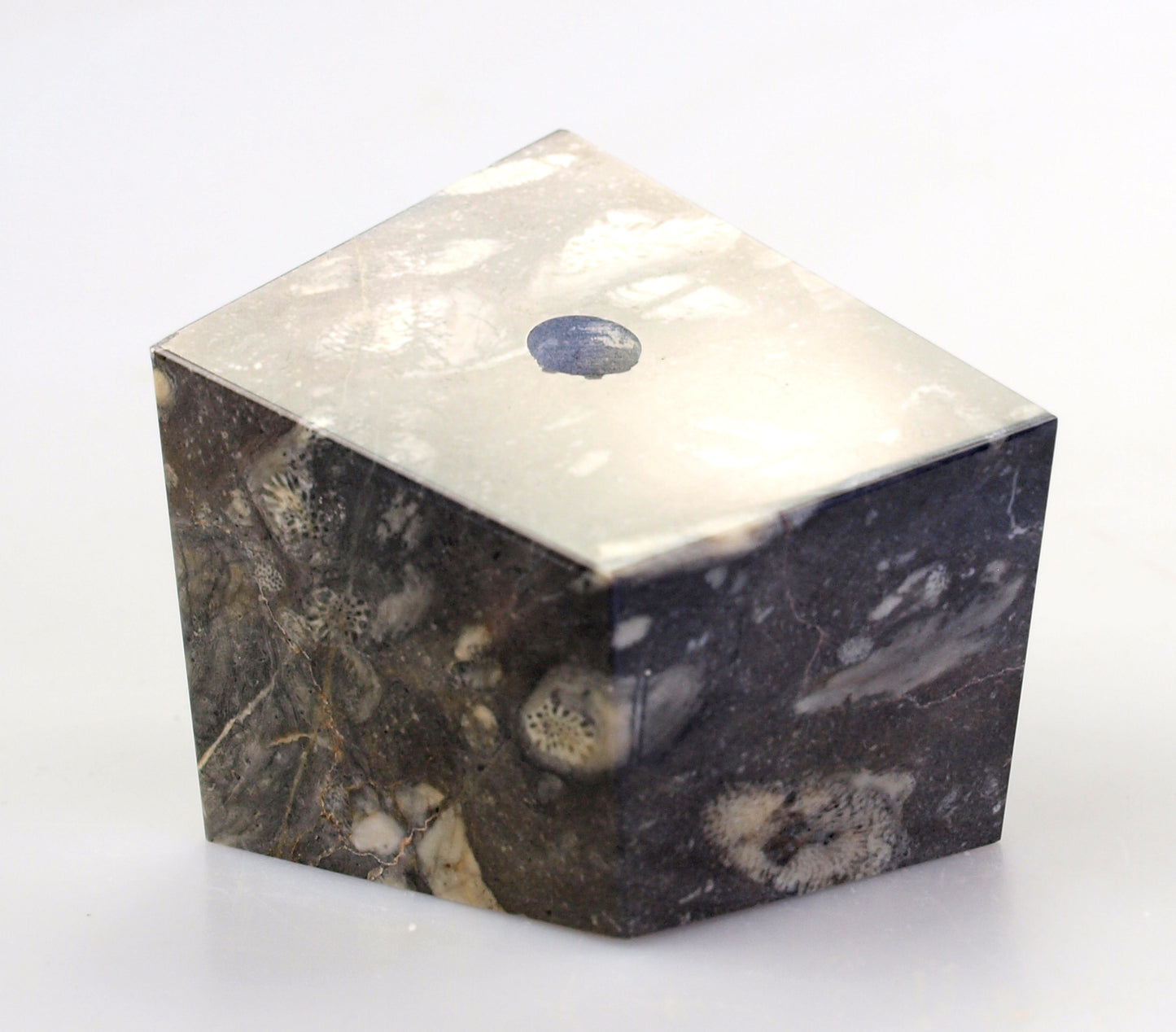 Limestone pencil stand with corals