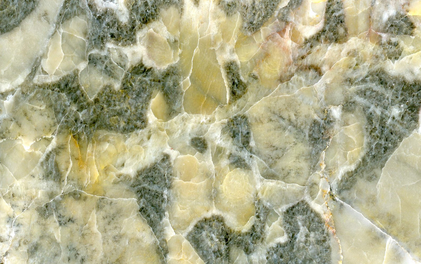 Vilémovice limestone with recrystallized fossils