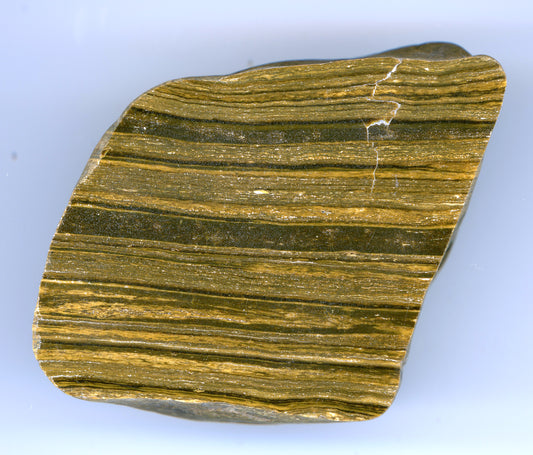 Silicified geyserite