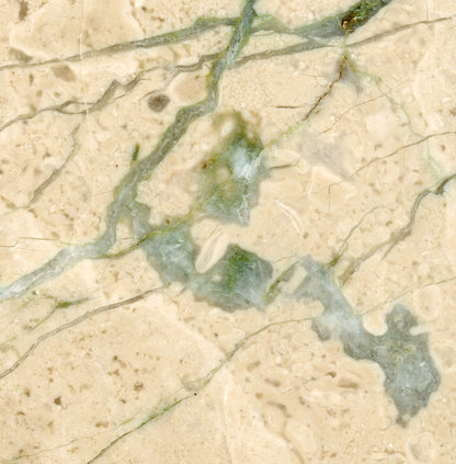 Jurassic limestone with fossils